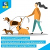 Дополнительные требования к содержанию домашних животных